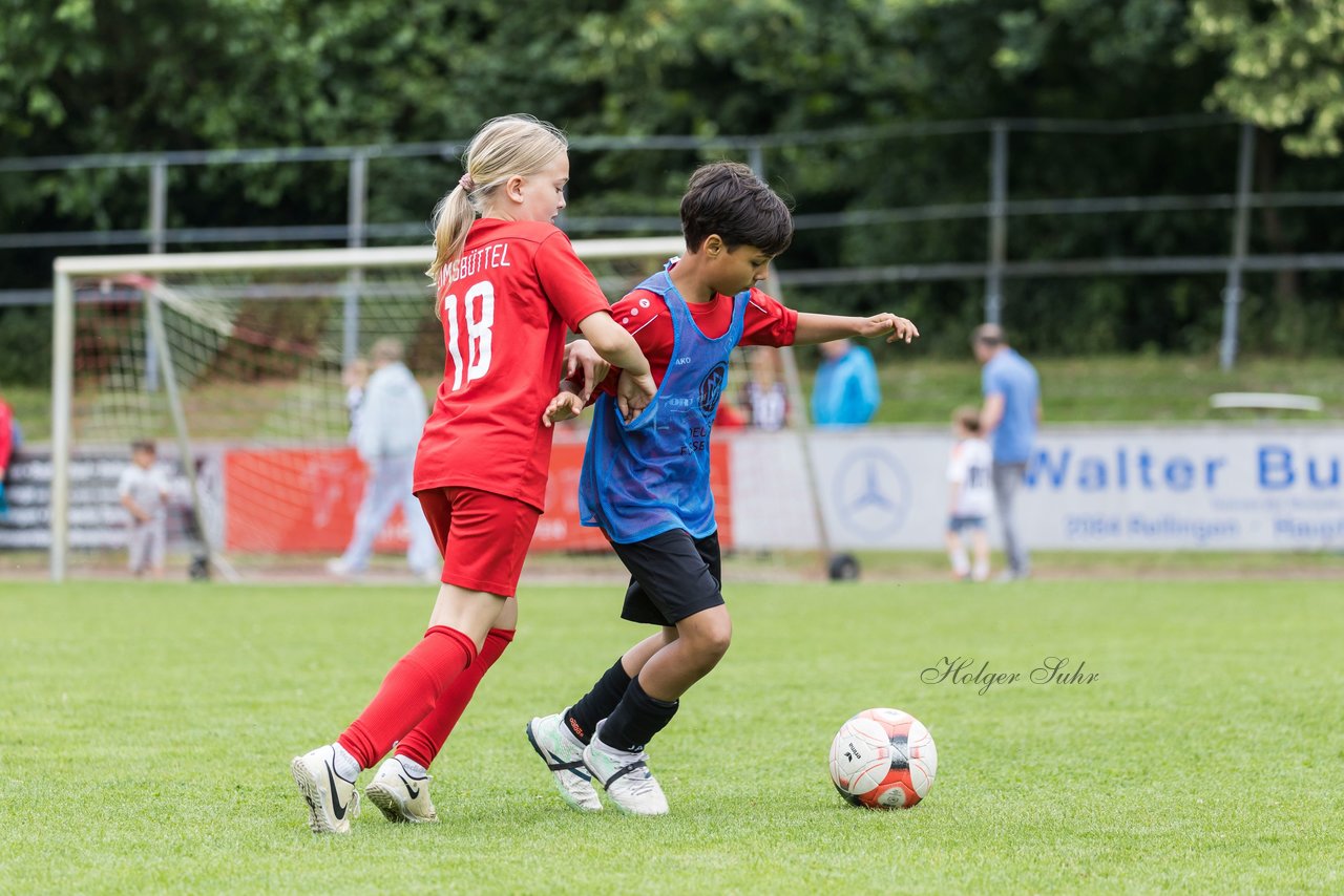 Bild 538 - Loewinnen Cup